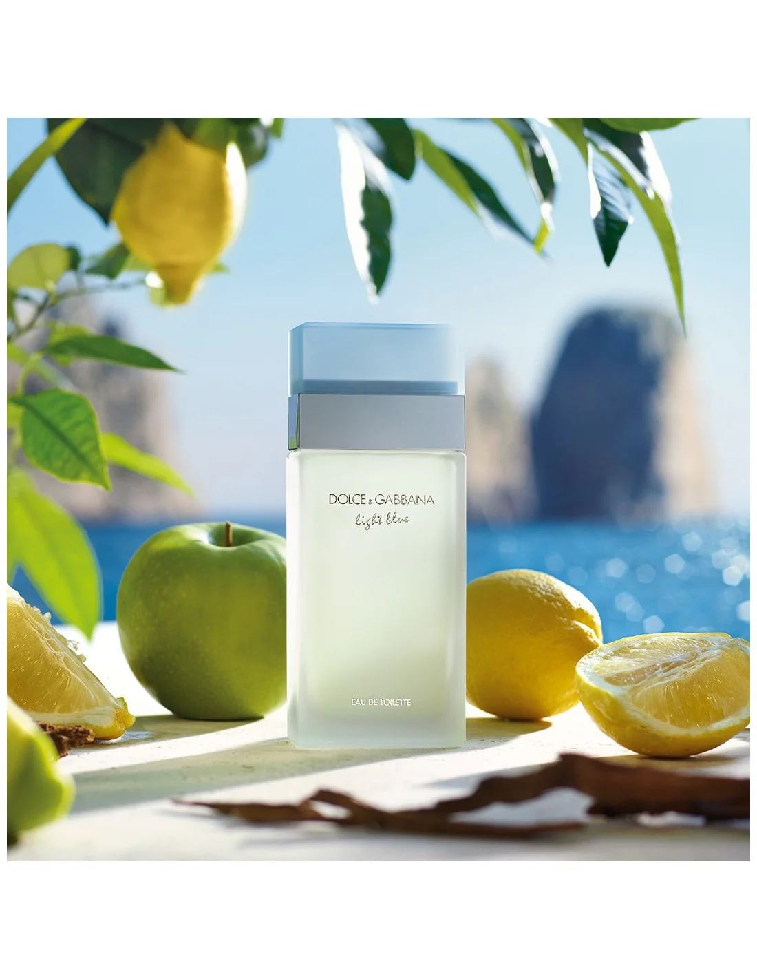 DOLCE AND GABBANA LIGHT BLUE POUR FEMME EAU DE TOILETTE